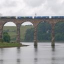 Freight train on Royal Border Bridge at Berwick upon Tweed in Northumberland, England